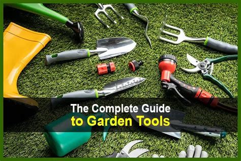 The Complete Guide to Garden Tools en 2024