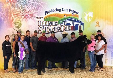 Illinois State Fair | Open Steer Show | The Pulse