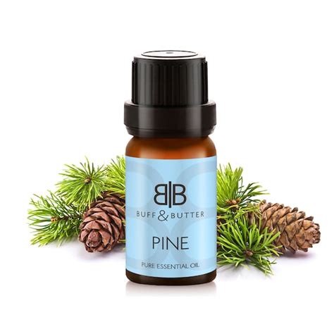 Pine Essential Oil 100% Pure Natural Fragrance Aromatherapy | Etsy