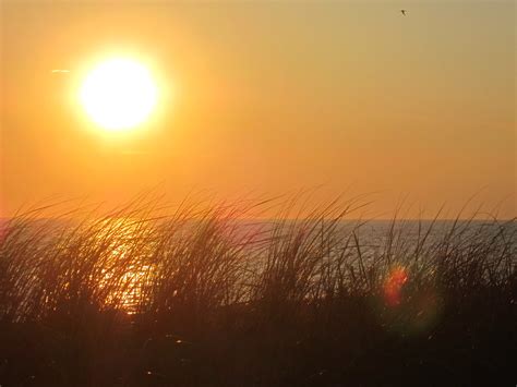 Herring Cove Beach at Sunset in Cape Cod Provincetown Mass… | Flickr