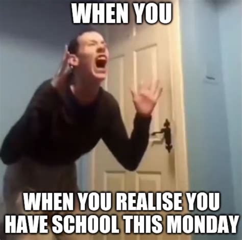 School bad : r/memes