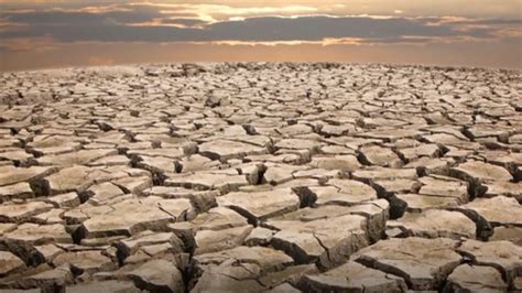 2022 summer droughts became extremely likely due to climate change ...