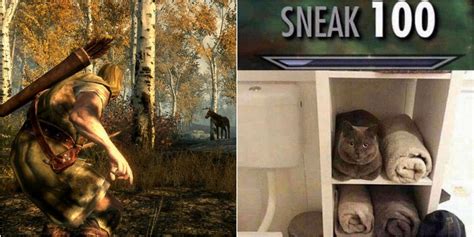 Skyrim: 10 Hilarious Memes About Sneaking & Stealth | Game Rant