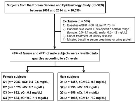 Upper Normal Serum Creatinine Concentrations as a Predictor for Chronic ...