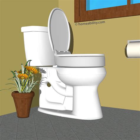 Accessible Toilets & Toilet Equipment: The Basics | homeability.com