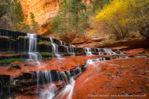 Southern Utah Fall Colors | Action Photo Tours | Utah Photo Tours