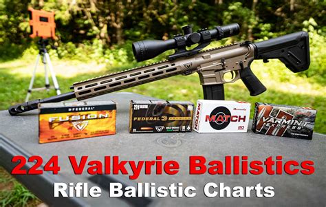 224 Valkyrie Ballistics - The Lodge at AmmoToGo.com