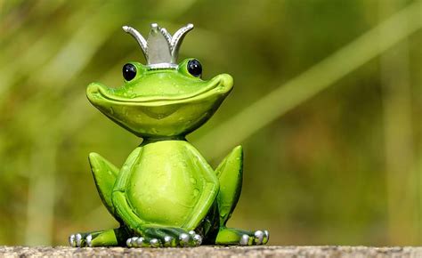 green, king frog figurine, close, frog, figure, king, cute, funny, sweet, fun | Pxfuel