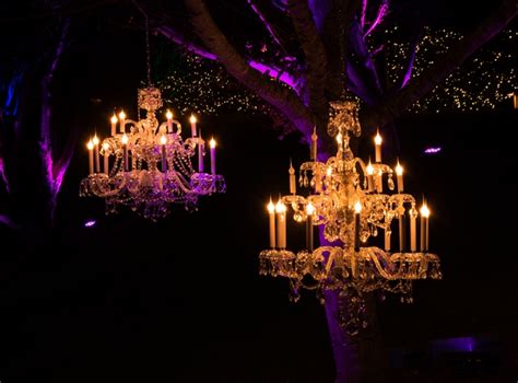 Winter Lights - The North Carolina Arboretum