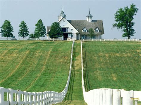 The Farm Wallpaper | Kentucky horse farms, Old barns, Lexington kentucky