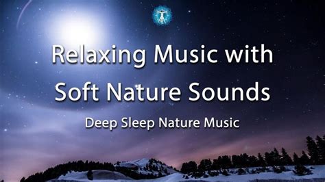 Nature Sleep Music, Relaxing Music with Soft Nature Sounds, Great Music ...