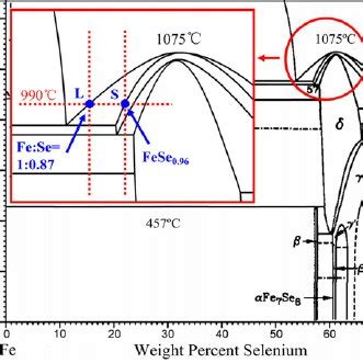 Fragment of Fe-Se phase diagram [31]. The superconducting tetragonal β ...