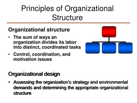 Pelerină vizual Special principles of organizational structure bici ...