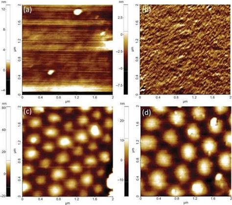 Calculation of fractal dimension by Python. | ResearchGate