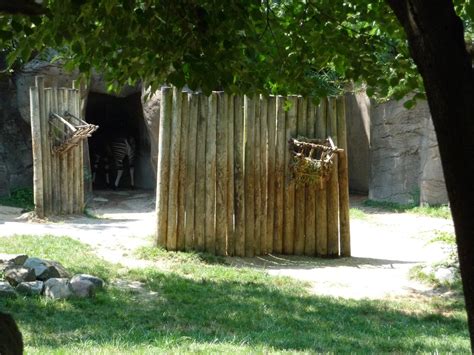 Cincinnati Zoo - Okapi Exhibit - ZooChat