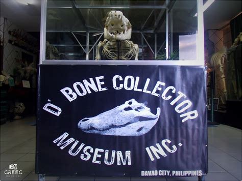 D' Bone Collector Museum Inc. | Greeg Adventure