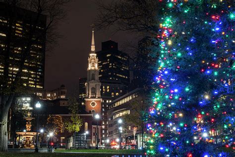 Boston Common Christmas Tree Photograph by Toby McGuire - Pixels