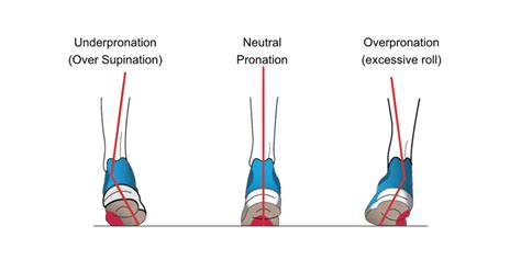 What Is Pronation And Why Does It Matter? ASICS | atelier-yuwa.ciao.jp