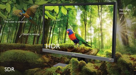 5 Reasons Why You Need To Own An HDR 4k Monitor