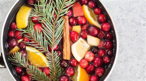 Christmas Potpourri Recipe