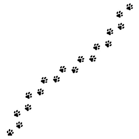 Best Dog And Cat Paw Prints Clip Art Illustrations, Royalty-Free Vector Graphics & Clip Art - iStock