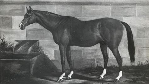 Lexington: Great Racehorse, Outstanding Sire | Racehorse, Horses, Lexington