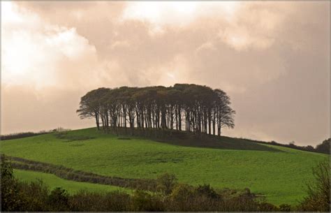 The "Nearly There" trees by JuBarney | ePHOTOzine