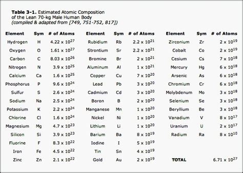 Human Body Composition Chart