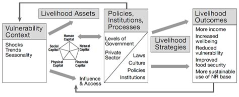 The Sustainable Livelihood Approach (DFID, 1999). | Download Scientific ...