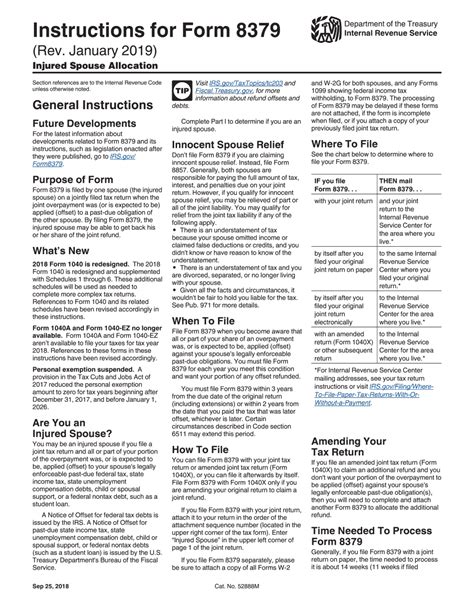 Form 8379 Instructions - Fillable and Editable PDF Template