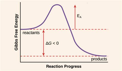 For the reaction 2A + B -> 3C, if the rate of disappearance of B is "0.30 mol/L"cdot"s", how do ...