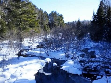 Tamarack Springs, Conover, Wisconsin | Vilas county, Wisconsin, Natural ...