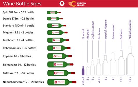 How to Pick the Perfect Wine Bottle Size