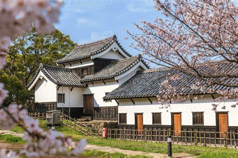 scenery of Fukuoka castle with cherry blossom in Fukuoka, Kyushu, Japan 34347802 Stock Photo at ...