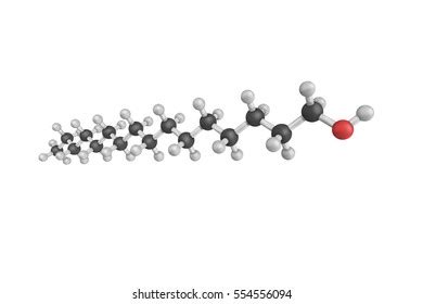 Spermaceti Structure