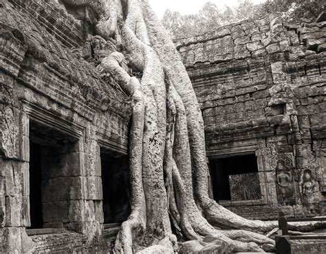 Ta Prohm Temple (Tomb Raider Temple) by Classic Collection III - Classics.