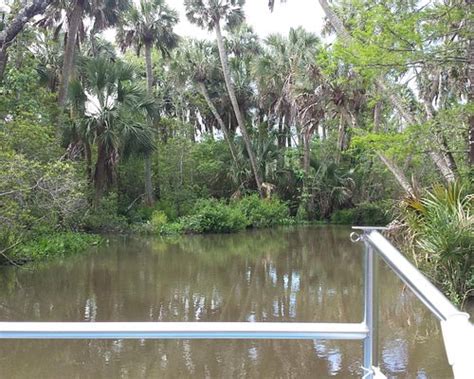 THE 15 BEST Things to Do in Apalachicola - 2024 (with Photos) - Tripadvisor