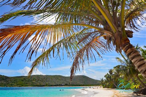 Flamenco Beach, Culebra, Puerto Rico - 2024 Visiting Guide - Updated