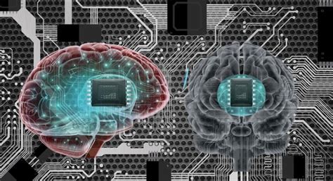 Elon Musk’s Neuralink Chip To Begin Human Trials. Have Concerns Been ...