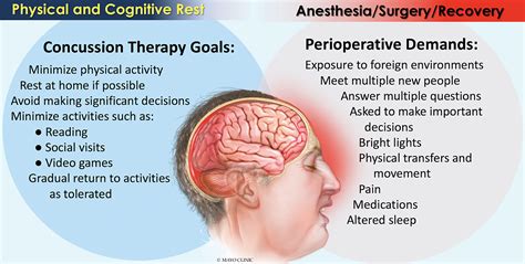 Is a Concussed Brain a Vulnerable Brain? Anesthesia after Concussion - Anesthesia Patient Safety ...