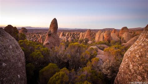 Bale Mountains National Park | Photos Pictures Images