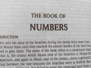 The Book Of Numbers Summary By Chapter (1-36): Concise And ...