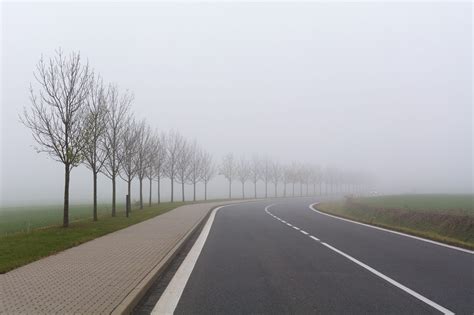 Foggy Road | Copyright-free photo (by M. Vorel) | LibreShot