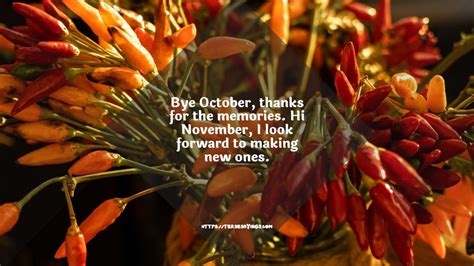 Best 100+ November Quotes That Will Touch Your Thankful Emotions