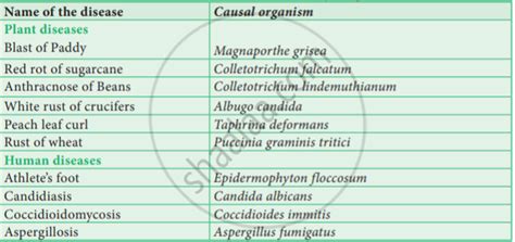 Mention the diseases caused by fungi in plants. - Botany | Shaalaa.com