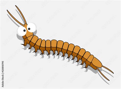 Cartoon Centipede Worm Stock Vector | Adobe Stock