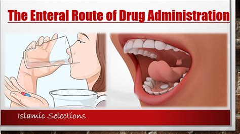 Pharmacokinetics - The Enteral Route of Drug Administration - YouTube