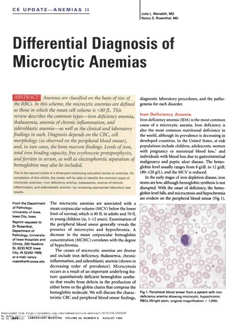 Differential Diagnosis of Microcytic Anemia PDF | PDF | Anemia | Red ...