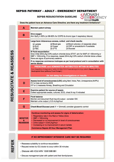 Sepsis System Disorder Template Portal Tutorials | The Best Porn Website