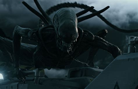 Alien Prequels Explained: Xenomorphs Don't Need Mythology | Collider